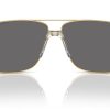 Versace VE2174 Polarized Sunglasses Men Gold Metal Frame-3