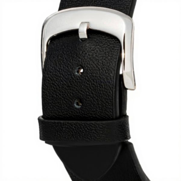 Versace Mens Watch Automatic Movement Black Green Hellenium