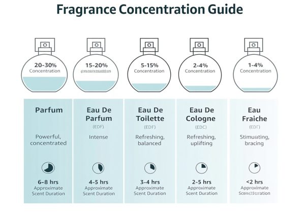 Versace Dylan Blue Mens Eau de Toilette Fragrance