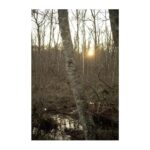 Japanese eBook B09MVN4XJQ Digital Reading Language Learning-0