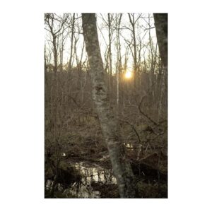 Japanese eBook B09MVN4XJQ Digital Reading Language Learning-0